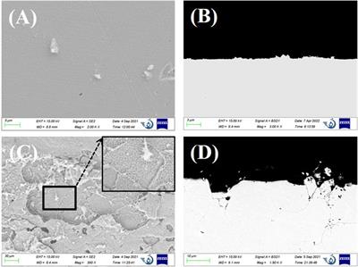 Corrosion Behavior of Commercial Alloys in LiCl–KCl Molten Salt Containing EuCl3